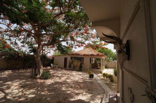 a house with a tree in the yard at La Teranga Apartament Parrot in Toubakouta