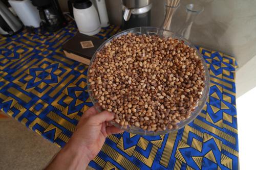 a person holding a bowl of nuts on a table at La Teranga Apartament Parrot in Toubakouta