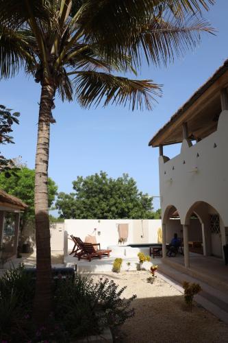 a palm tree next to a building with a bench at La Teranga Apartament Parrot in Toubakouta
