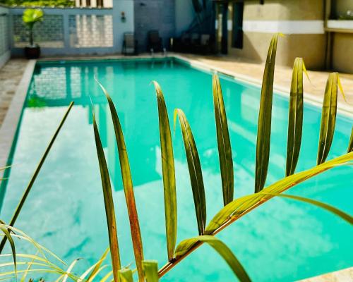 a blue swimming pool with a plant in the foreground at Porty Brasil Hotel in Paranaguá