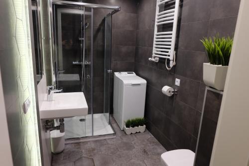 Koupelna v ubytování Apartament Elementos