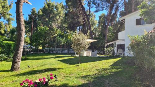 Gallery image of Sani Villa Olyvia in Sani Beach