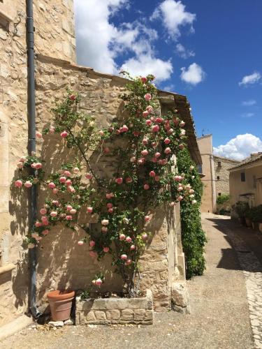 Un jardín fuera de Lovely views in secret Provence