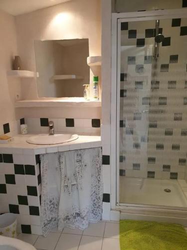 une salle de bain avec un lavabo et une douche dans l'établissement Maison accueillante avec piscine à Meursac + Spa, à Meursac