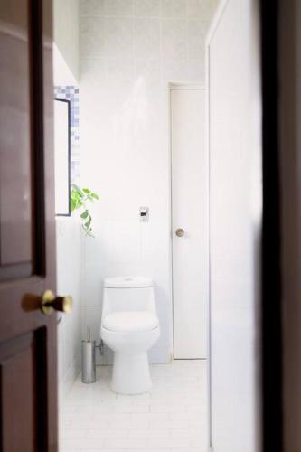 a white bathroom with a toilet and a shower at Casa Amma - Chita in Matehuala
