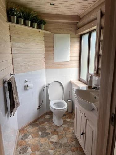 a small bathroom with a toilet and a sink at Beautiful log cabin Druviņas in Limbaži