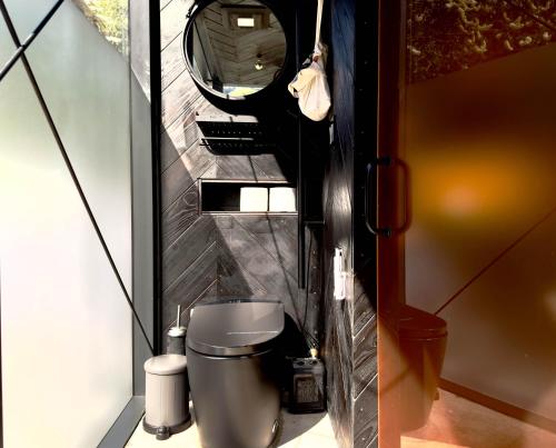 a bathroom with a toilet and a mirror at Paradise Ranch Inn- Limitless House Hot Tub,Sauna in Three Rivers