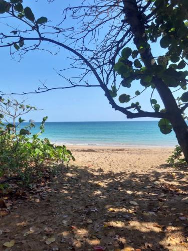 Landskap semula jadi dekat dengan vila ini