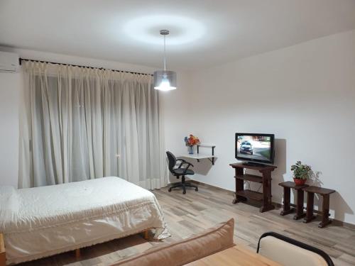 a bedroom with a bed and a desk and a television at Italia 440 2C in Tigre