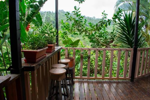 a balcony with stools and a view of the jungle at Cabaña Ave Del Paraiso in Cartago