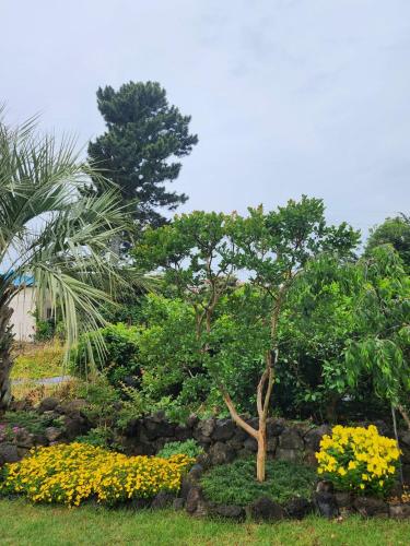 a garden with flowers and a stone wall at On the way to Santiago in Seogwipo