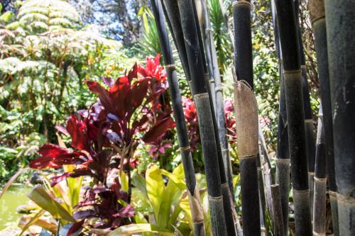 a fence in front of a garden with flowers at Chalet Kilauea in Volcano
