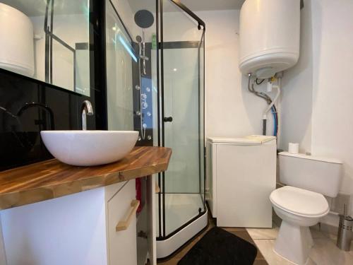 une salle de bain avec un lavabo, une douche et des toilettes dans l'établissement Grand Studio 2 Pers, Vue Mer, Parking Privé - FR-1-81-616, au Barcarès
