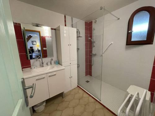 une salle de bain avec une douche, un lavabo et un miroir dans l'établissement Pavillon T3 avec Mezzanine, Garage, Clim, Terrasse, Piscine, 400m Plage - Saint Cyprien - FR-1-106-103, à Saint-Cyprien