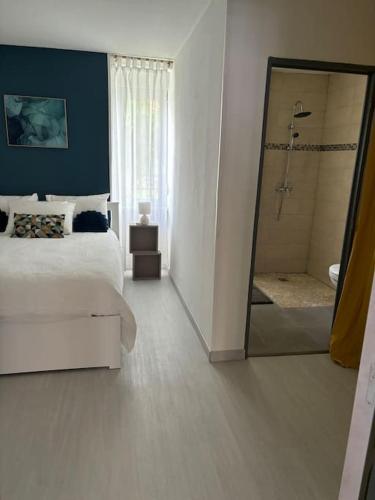 - une chambre avec un lit, une douche et un miroir dans l'établissement Appartement tout équipé Centre Mulhouse, à Mulhouse