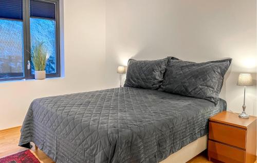 Postel nebo postele na pokoji v ubytování Amazing Apartment In lesund With Kitchen
