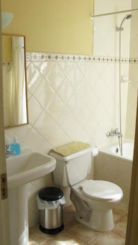 y baño con aseo, lavabo y ducha. en Yendegaia House en Porvenir