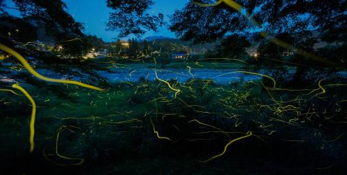 a field full of grass with lights on it at night at SEN.RETREAT CHIKATSUYU in Tanabe