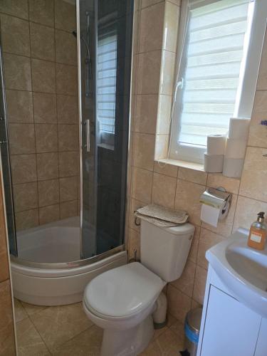une salle de bain avec toilettes, douche et lavabo dans l'établissement Domki U Julka Nad Jeziorem Solińskim z Jacuzzi, à Werlas
