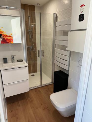 une salle de bain avec toilettes et douche dans l'établissement villa venus 50, au Cap d'Agde