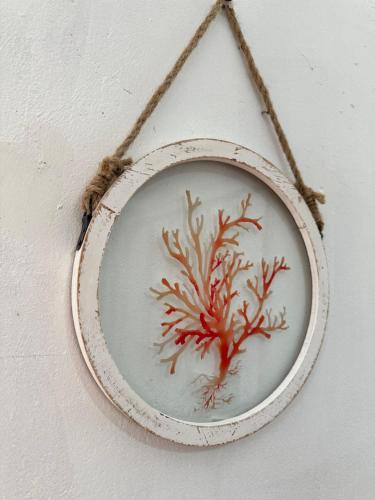 a plate with a painting of a coral on a wall at Kilian Beach House in Playa Blanca
