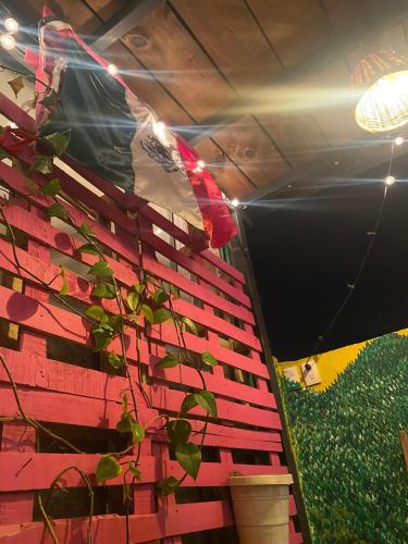 a kite hanging on a wall with a plant at Hostal el Alebrije in Valle de Bravo