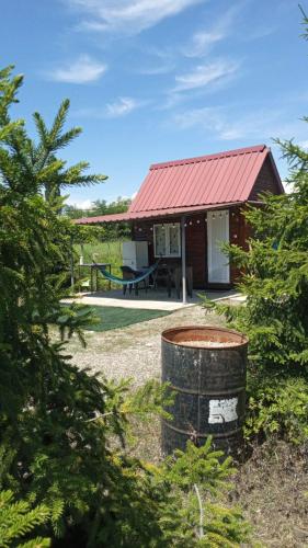 Φωτογραφία από το άλμπουμ του Tekhura guest house σε Senaki