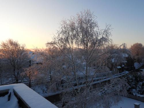a winter scene with snow on the ground and trees at Ô lit de l'Ourthe in Hotton