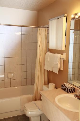 Koupelna v ubytování Motel Alexandrin