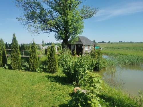una piccola capanna in un campo con un albero e uno stagno di Edmart a Dobromislė