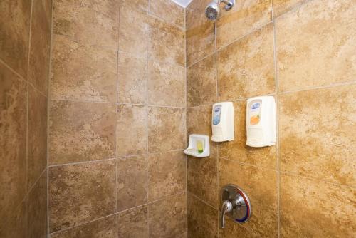 baño con ducha y dispensador de jabón en Rim Country Inn Payson en Payson