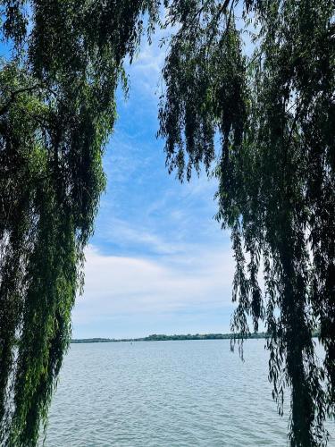 a view of a lake from between two trees at Apartament în regim in Pantelimon