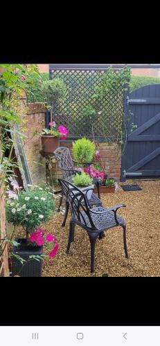a bench sitting in a garden with potted plants at The Annex in Briston