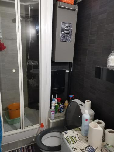 une petite salle de bain avec toilettes et douche dans l'établissement Vacances au Cap d Agde, au Cap d'Agde