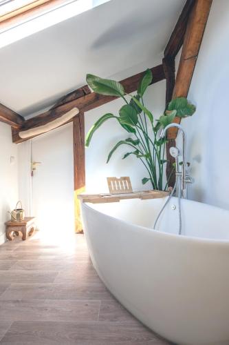 Luxury top floor duplex near Le Marais