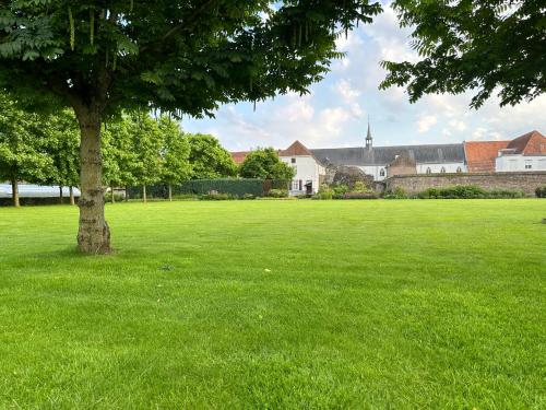 a large green field with a tree in the middle at B&B Maria Hart in Weert