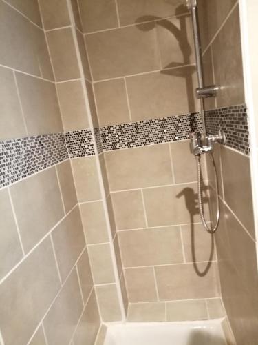 La salle de bains est pourvue d'une douche carrelée. dans l'établissement Studio Cours Emile Zola Métro République, à Villeurbanne