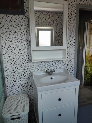 a bathroom with a white sink and a mirror at Maison jardin calme in Lambersart