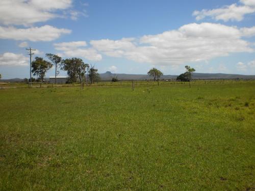 a field of green grass with trees in the background at Country View Motel Ilbilbie in Ilbilbie