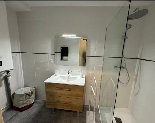 La salle de bains est pourvue d'un lavabo et d'une douche. dans l'établissement La Sout à découverte, à La Souterraine