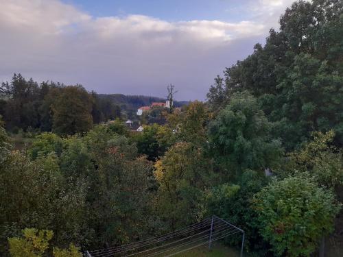 a view of a forest of trees with a house in the distance at Ubytování Nad rybníkem Nová Říše - apartmán Západ in Nová Říše