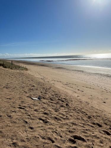 une plage avec un oiseau allongé sur le sable dans l'établissement Villa les Tonnelles 1 à 800m de la plage et 500m de la forêt, à Saint-Jean-de-Monts
