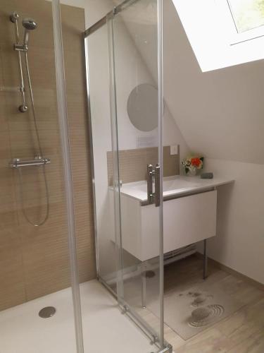 une salle de bain avec une douche avec un lavabo et des toilettes dans l'établissement Maison charmante à Offranville avec grand jardin, à Offranville