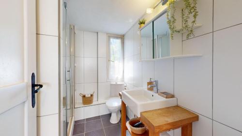 une salle de bain avec un lavabo et des toilettes dans l'établissement Au Petit Vauban 2 chambres & parking, à Colmar