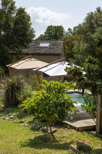 un patio avec un parasol et une piscine dans l'établissement Bergerie Fiumicellu + maisonnette, à Santa-Maria-di-Lota