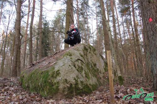 a person sitting on top of a rock in the woods at Pokoje w Gołdapi in Gołdap