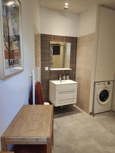 une salle de bain avec un lavabo et une machine à laver dans l'établissement T2 Charme, intramuros, quartier des Teinturiers, à Avignon