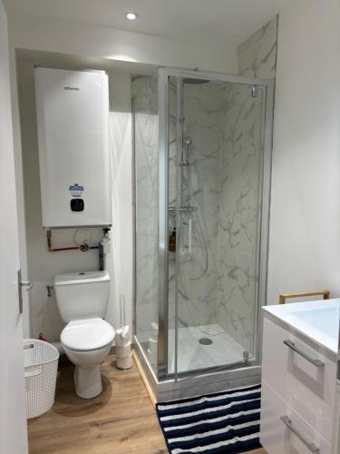 une salle de bain avec douche et toilettes dans l'établissement Green view studio, à Couzon-au-Mont-dʼOr