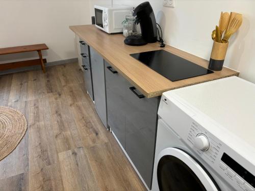une cuisine avec un évier et une machine à laver dans l'établissement Green view studio, à Couzon-au-Mont-dʼOr