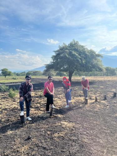 a group of people walking in a field with a tree at Gemyah in Banyuwangi